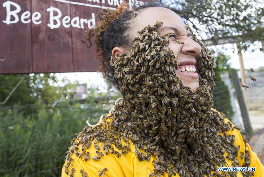 CANADA-TORONTO-HONEY FESTIVAL-BEE BEARD CHALLENGE 