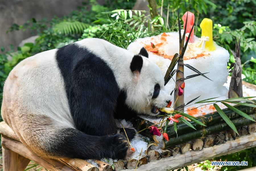 MALAYSIA-KUALA LUMPUR-PANDA-BIRTHDAY