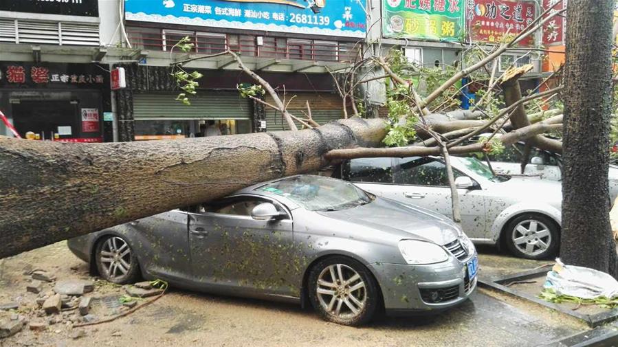 CHINA-GUANGDONG-TYPHOON HATO (CN) 