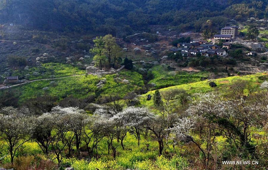 CHINA-GUANGXI-RONG'AN-RURAL DEVELOPMENT (CN)