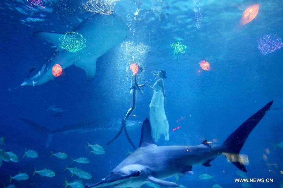 #CHINA-SHANDONG-YANTAI-UNDERWATER WEDDING SHOW (CN)