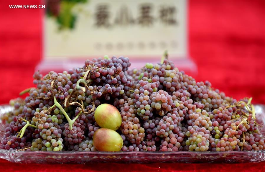 CHINA-XINJIANG-TURPAN-GRAPE FESTIVAL (CN)