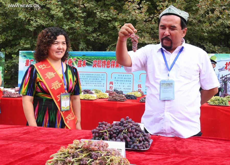 CHINA-XINJIANG-TURPAN-GRAPE FESTIVAL (CN)