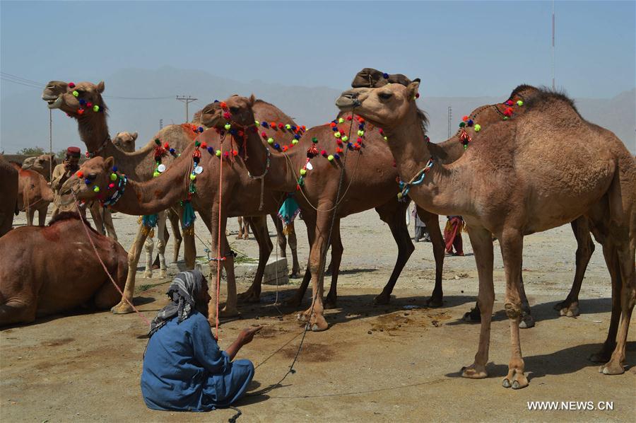 PAKISTAN-QUETTA-EID AL-ADHA