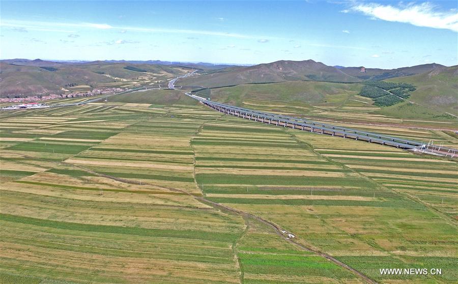 #CHINA-HEBEI-FARMLAND-AUTUMN SCENE (CN)