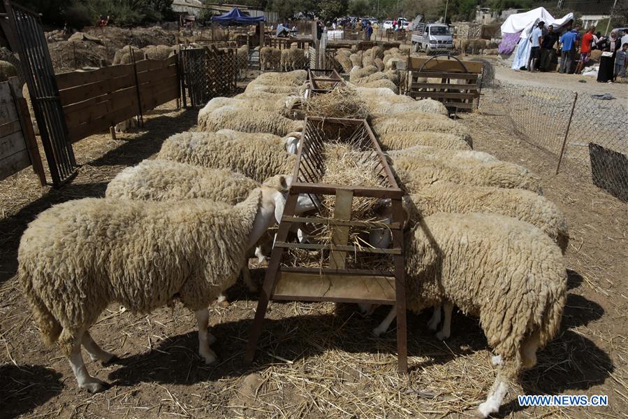 ALGERIA-ALGIERS-EID AL-ADHA-PREPARATION