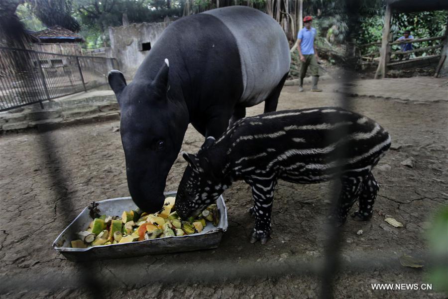 INDONESIA-BANDUNG-ZOO PARK