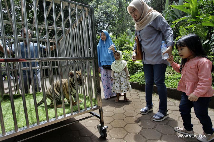 Animals seen in Bandung zoo park, Indonesia - Xinhua 
