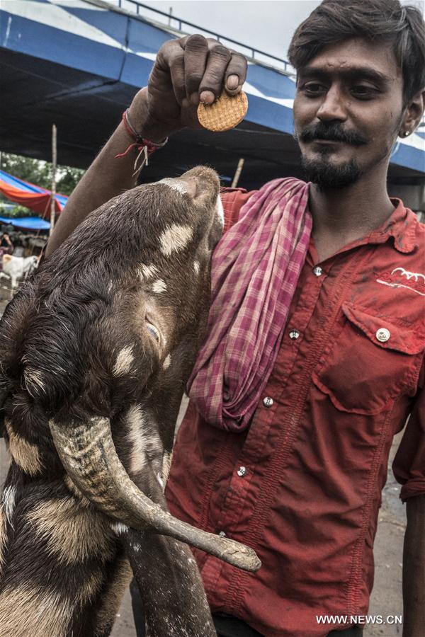 INDIA-KOLKATA-ANIMAL-MARKET