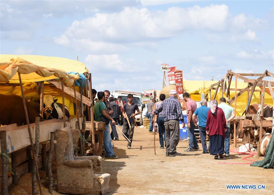 TURKEY-ISTANBUL-ANIMAL MARKET