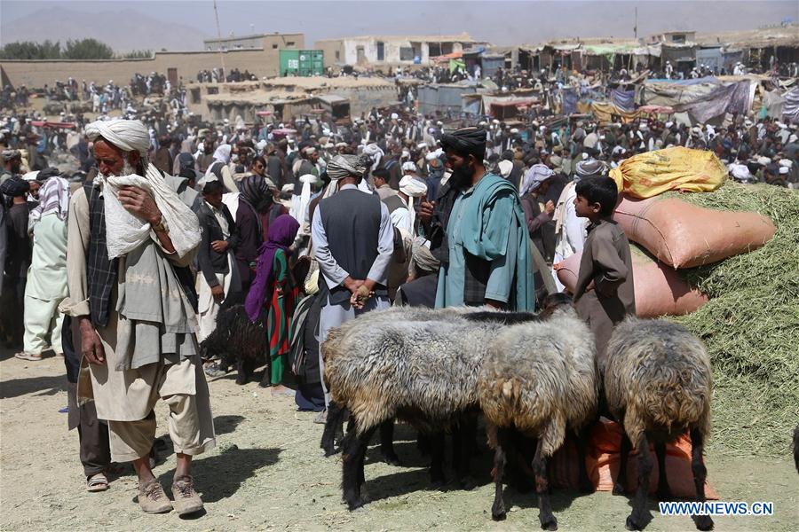 AFGHANISTAN-GHAZNI--EID-AL-ADHA-PREPARATION