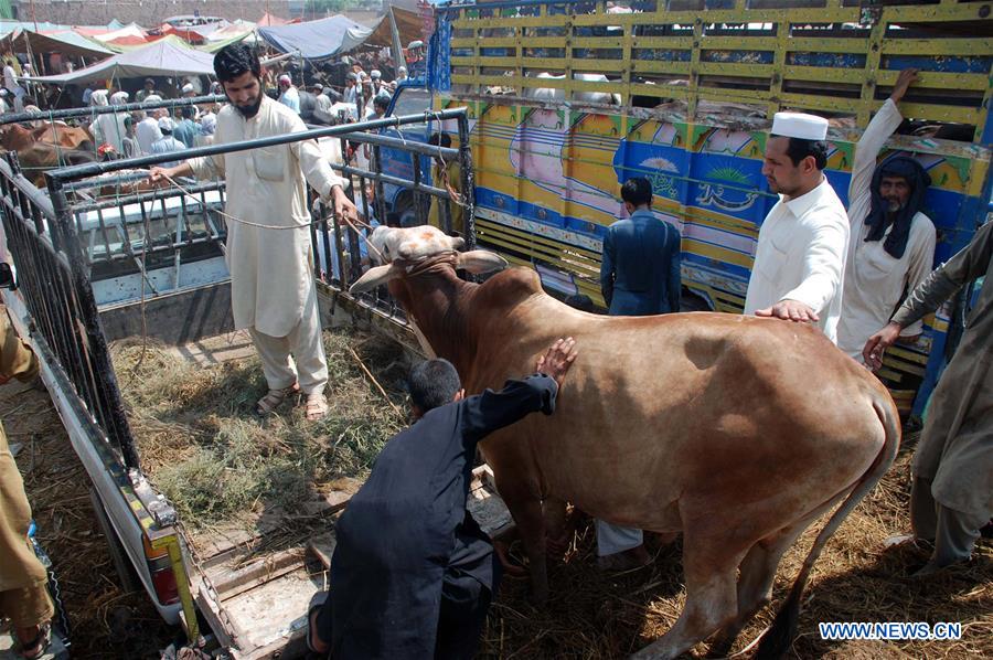 PAKISTAN-ISLAMABAD-EID AL-ADHA-ANIMAL MARKET