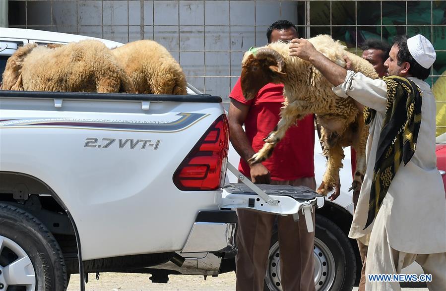 QATAR-DOHA-EID AL-ADHA-ANIMAL MARKET