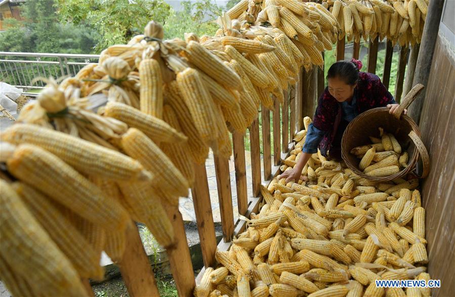 #CHINA-HUBEI-OLD VILLAGE (CN)