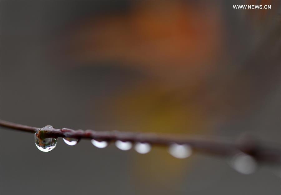 #CHINA-JIANGSU-HUAIAN-WEATHER-DEW(CN)