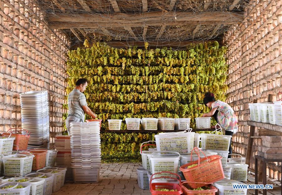 CHINA-XINJIANG-TURPAN-GRAPE-RAISIN (CN)