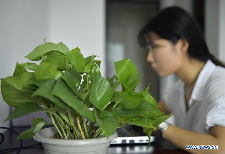 #CHINA-HUBEI-ENSHI-APARTMENT FOR TALENTS (CN)