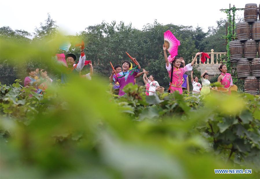 CHINA-SHIJIAZHUANG-GRAPES-HARVEST-CELEBRATION(CN)