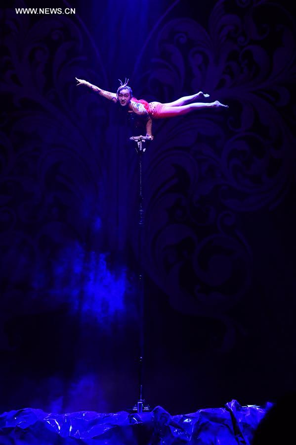 CHINA-HENAN-PUYANG-ACROBATICS SHOW (CN)