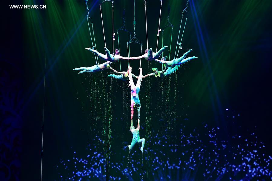 CHINA-HENAN-PUYANG-ACROBATICS SHOW (CN)