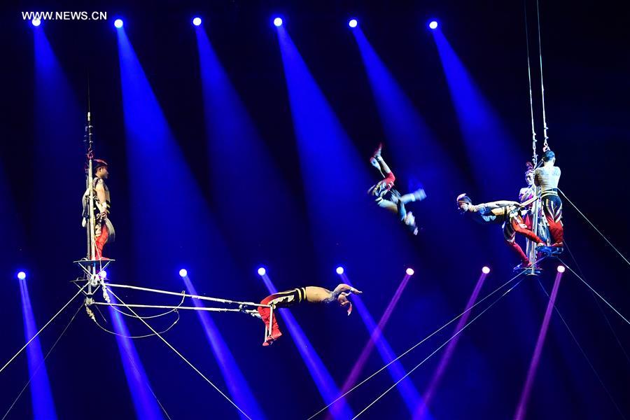 CHINA-HENAN-PUYANG-ACROBATICS SHOW (CN)
