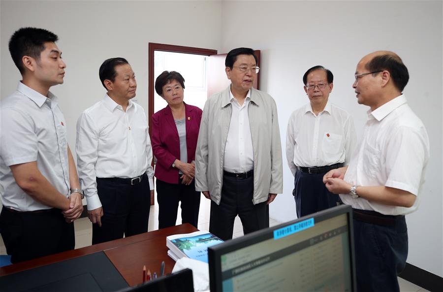 CHINA-GUANGXI-ZHANG DEJIANG-INSPECTION (CN)