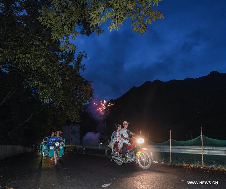 CHINA-ZHEJIANG-CHUN'AN-HICKORY-HARVEST (CN)