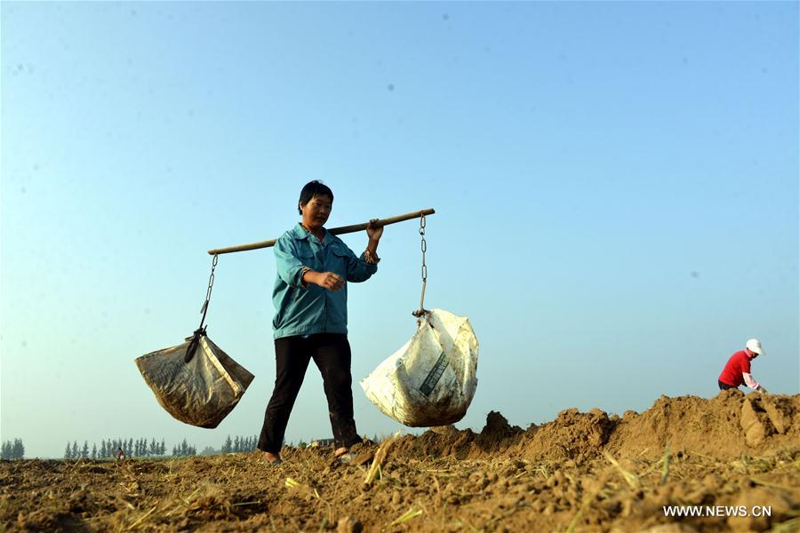 #CHINA-VILLAGES-FARM WORK (CN)
