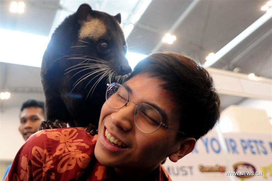 INDONESIA-SOUTH TANGERANG-PETS EXPO