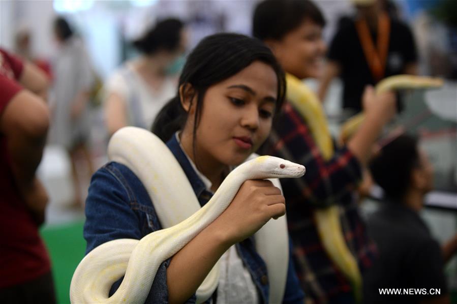 INDONESIA-SOUTH TANGERANG-PETS EXPO