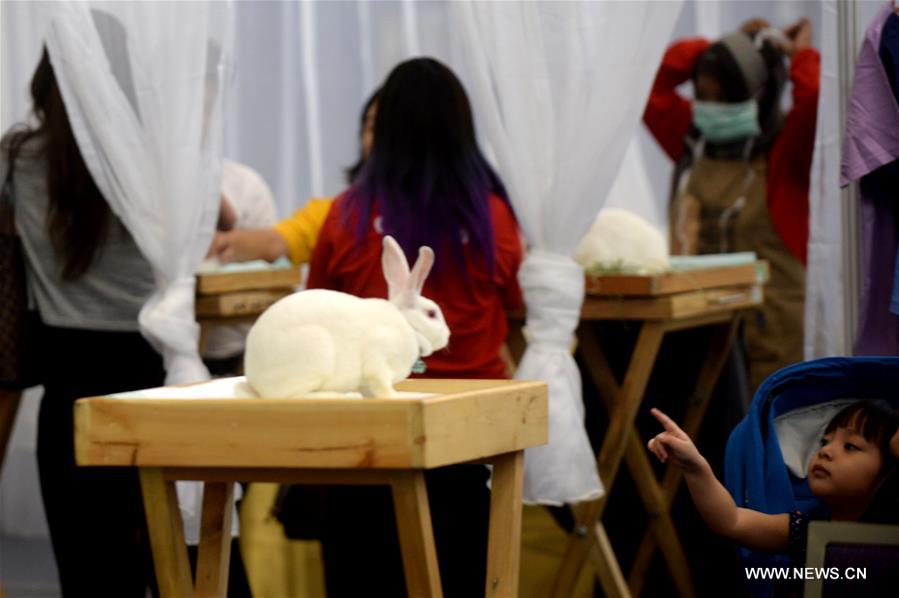 INDONESIA-SOUTH TANGERANG-PETS EXPO