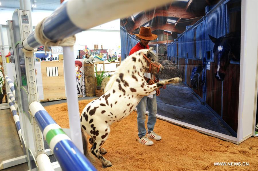 INDONESIA-SOUTH TANGERANG-PETS EXPO