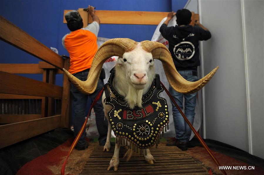 INDONESIA-SOUTH TANGERANG-PETS EXPO