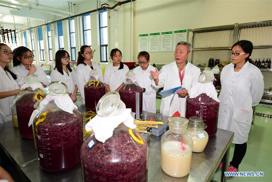 CHINA-SHAANXI-GRAPE AND WINE-EXPERT (CN)