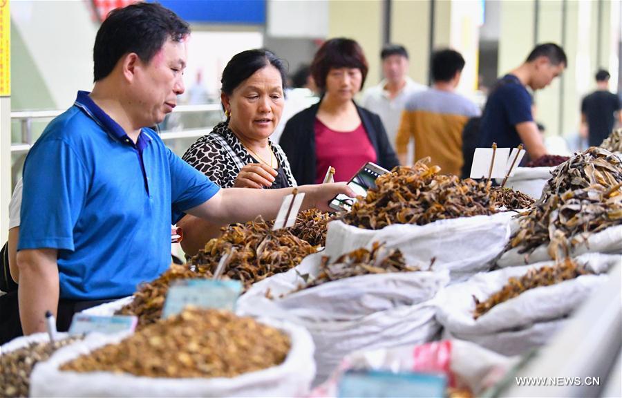#CHINA-ANHUI-EXPO-CHINESE MEDICINE (CN)