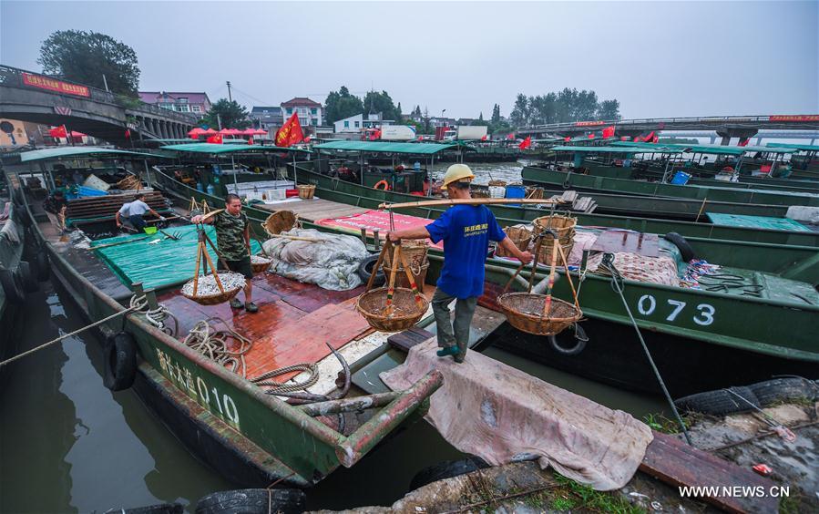 CHINA-ZHEJIANG-FISHING SEASON (CN) 