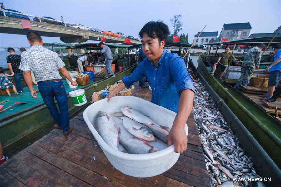 CHINA-ZHEJIANG-FISHING SEASON (CN) 