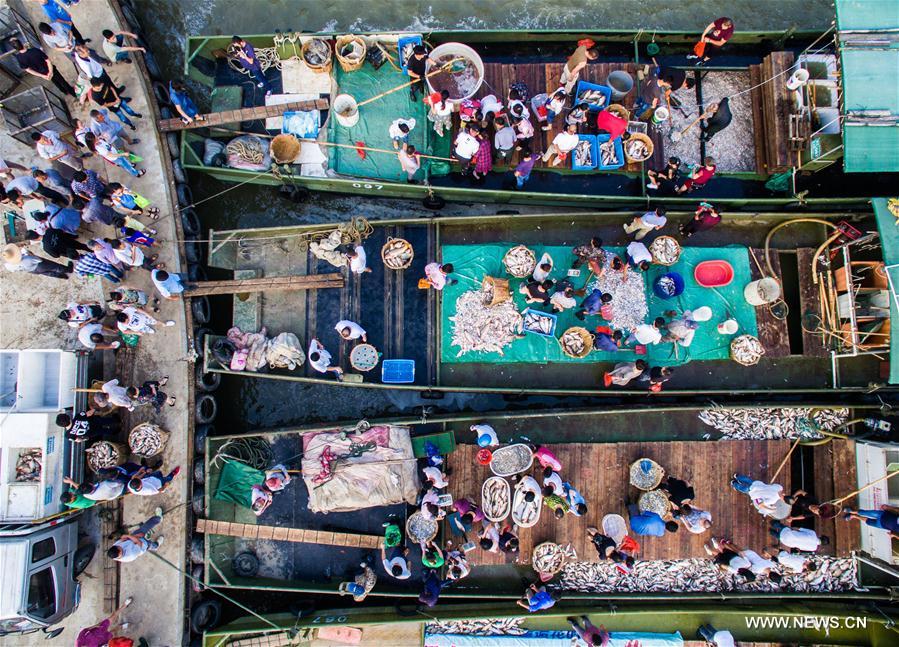 WEEKLY CHOICES OF XINHUA PHOTO
