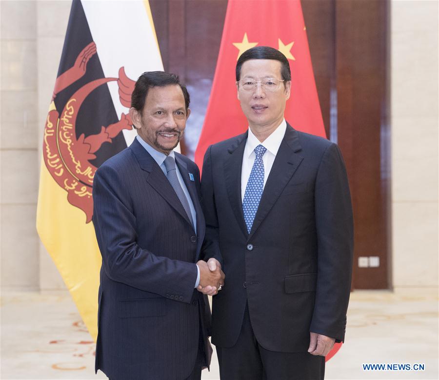 CHINA-GUANGXI-ZHANG GAOLI-BRUNEI-SULTAN-MEETING (CN)