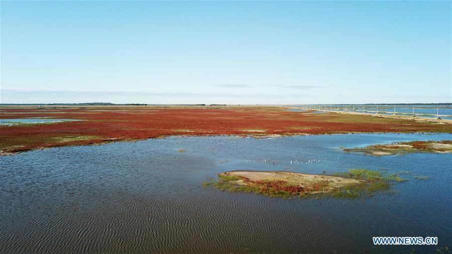 CHINA-JILIN-BAICHENG-MOMOGE WETLAND (CN)