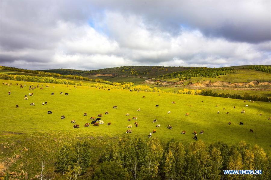 #CHINA-INNER MONGOLIA-HULUN BUIR GRASSLANDS (CN)