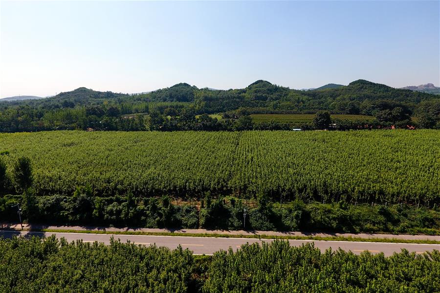 CHINA-SHANDONG-ZIBO-AERIAL VIEW (CN)