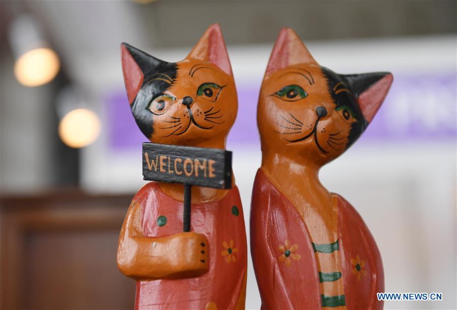 CHINA-GUANGXI-ASEAN EXPO-EXHIBITS (CN)