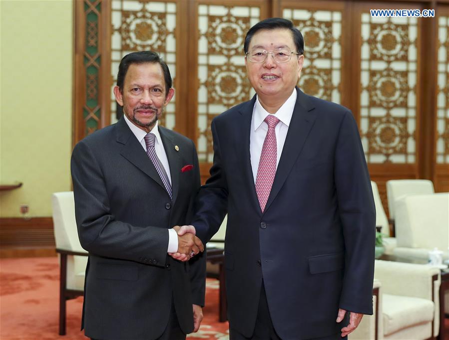CHINA-ZHANG DEJIANG-BRUNEI-MEETING(CN)
