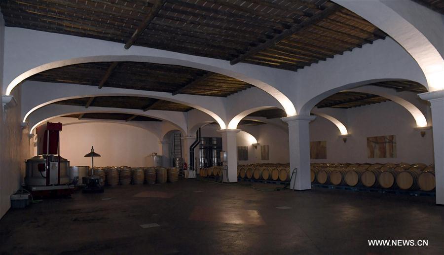 PORTUGAL-ESTREMOZ-WINERY