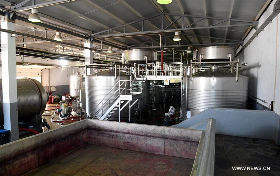 PORTUGAL-ESTREMOZ-WINERY