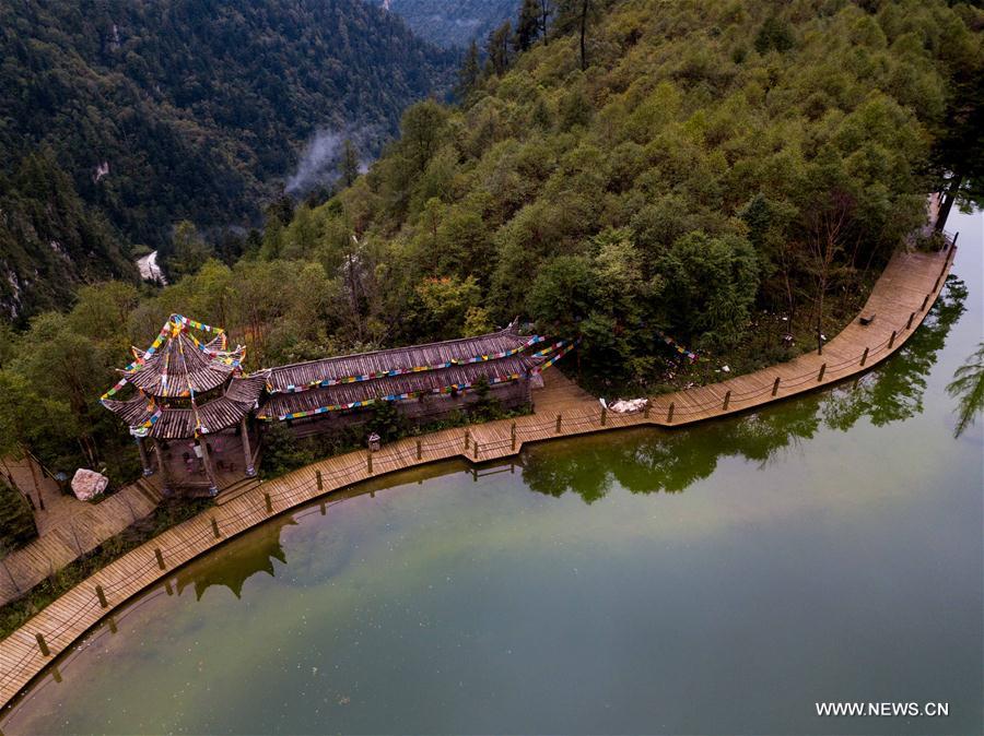CHINA-GANSU-FOREST PARK-SCENERY(CN)