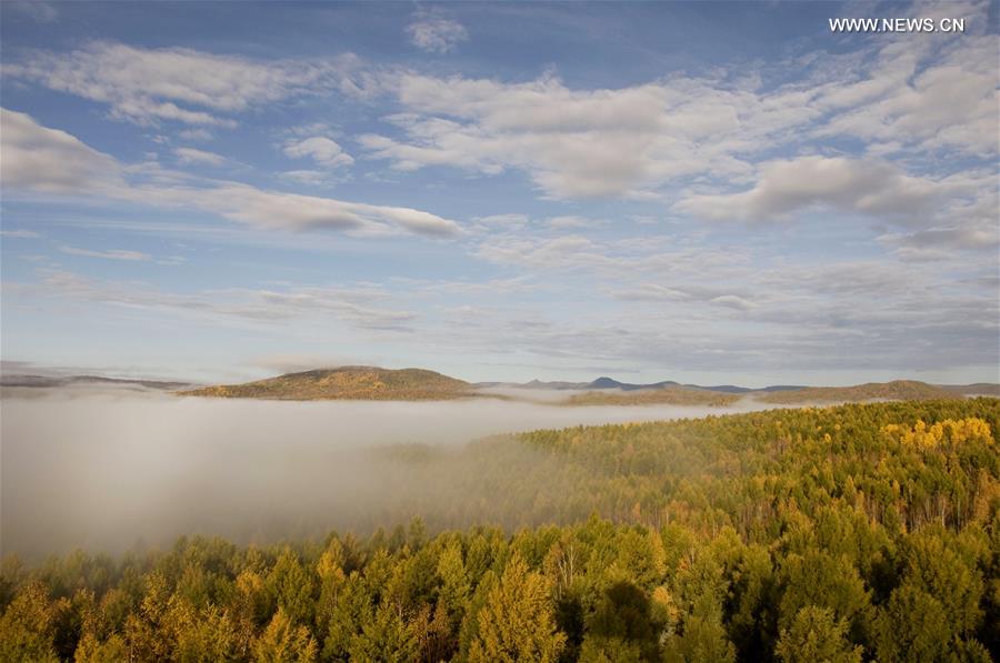 #CHINA-INNER MONGOLIA-HULUN BUIR-AUTUMN SCENERY (CN)