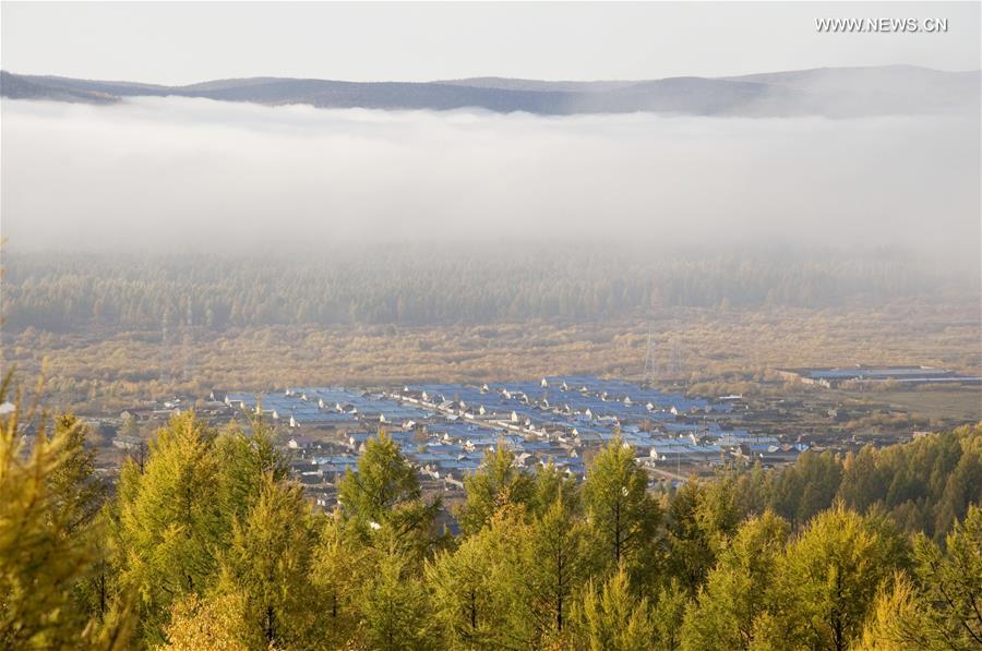 #CHINA-INNER MONGOLIA-HULUN BUIR-AUTUMN SCENERY (CN)