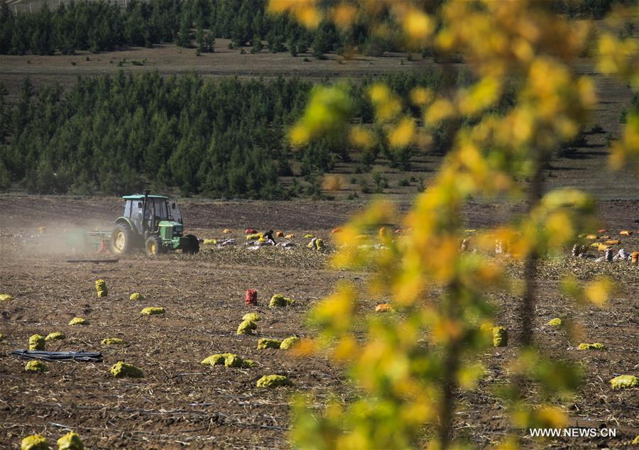 #CHINA-HEBEI-FENGNING-FARM WORK (CN)